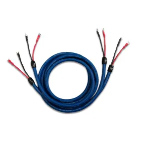 Cardas Clear Cygnus Speaker Cable