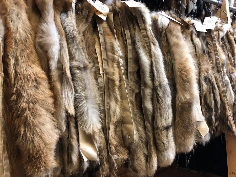 Coyote Hood Ruffs - #2 quality