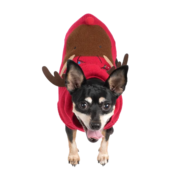 Hoodie Sweater | Rudy Reindeer
