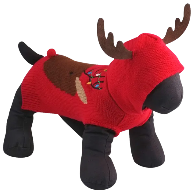 Hoodie Sweater | Rudy Reindeer