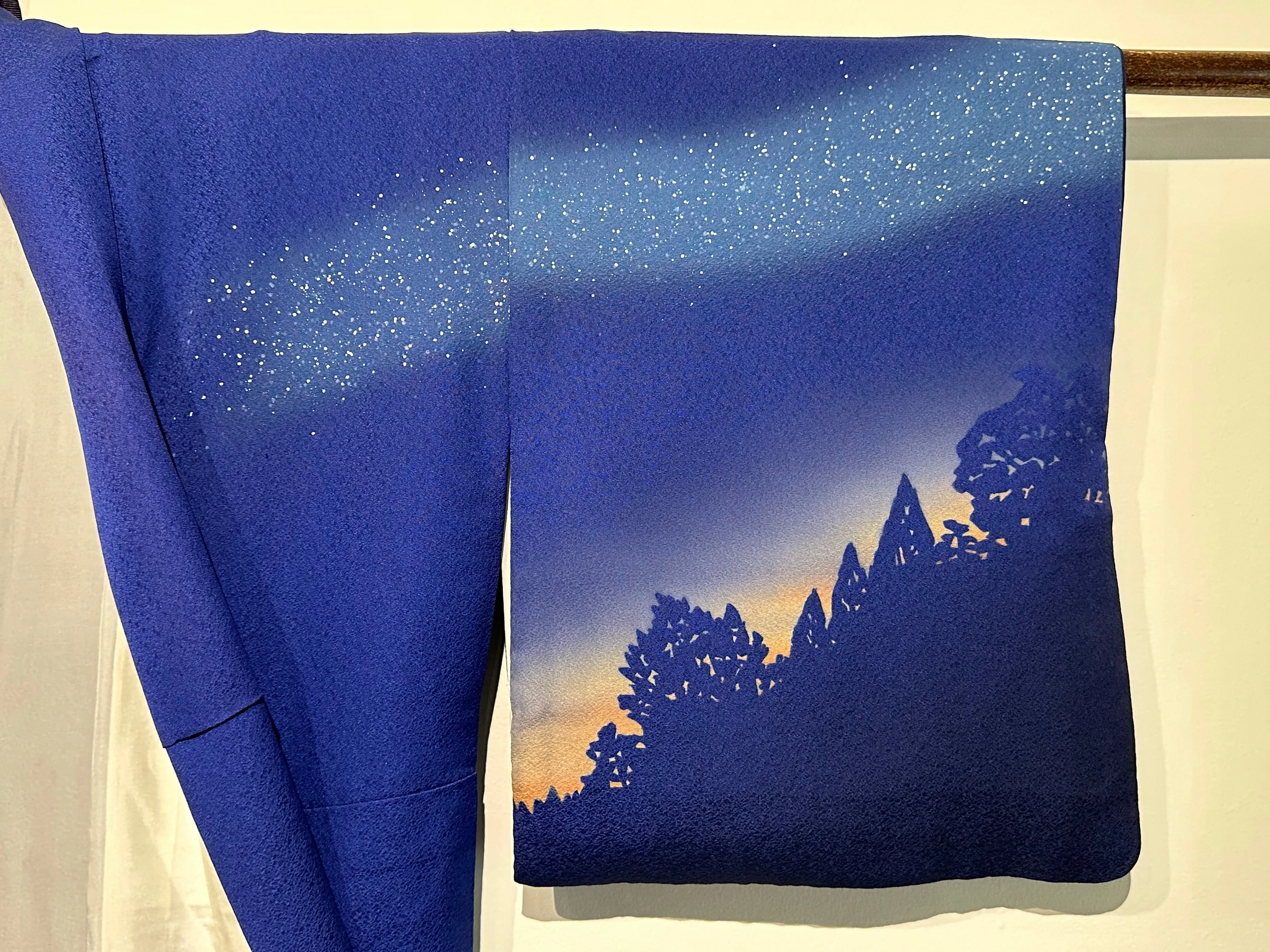 Japanese Signed Silk Houmongi Kimono Hand Painted Night Sky Royal Blue