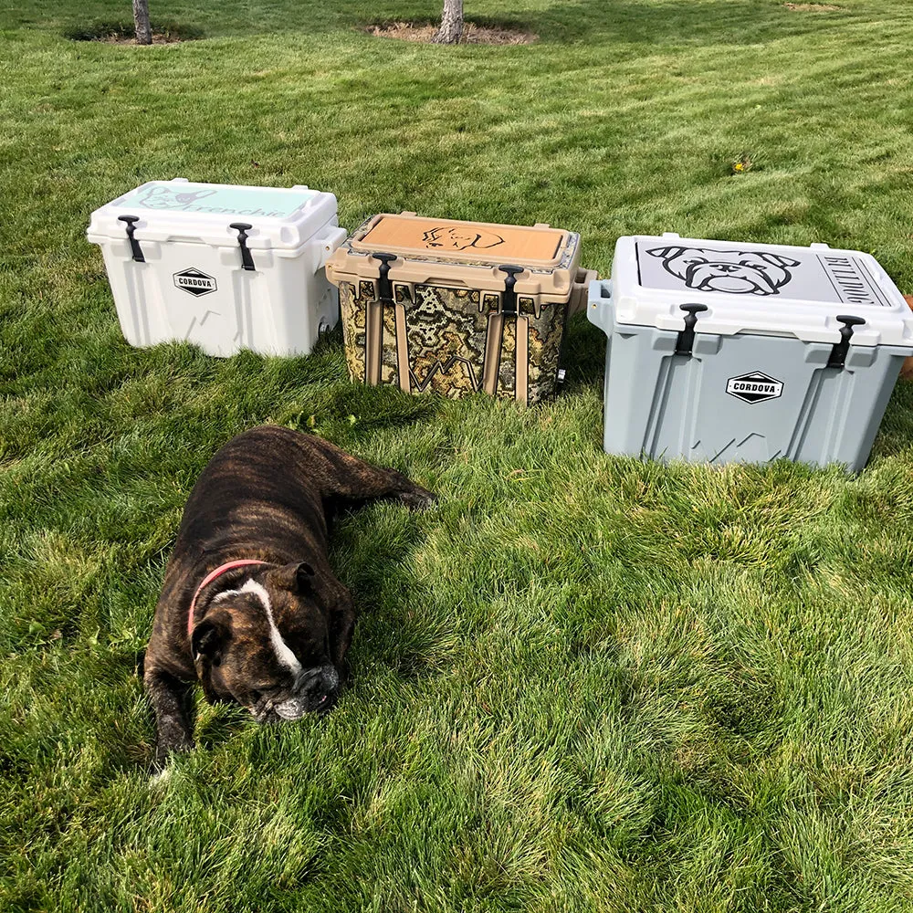 Labrador Name - AR/B