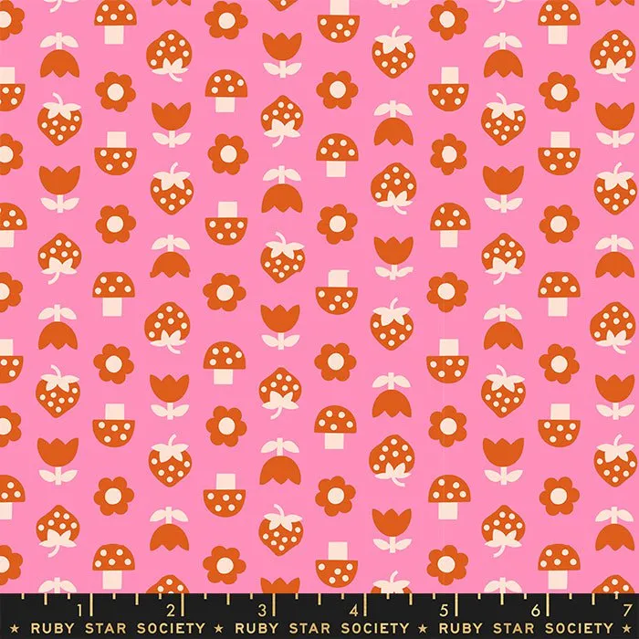 Picture Book: Layer Cake