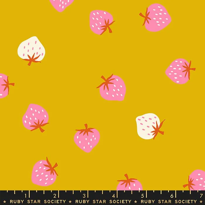 Picture Book: Layer Cake