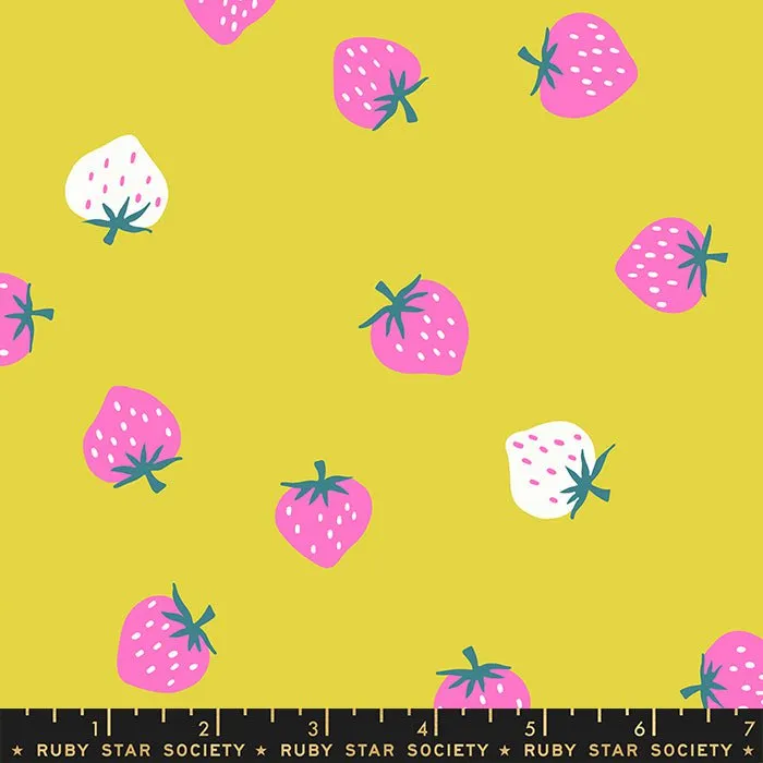 Picture Book: Layer Cake