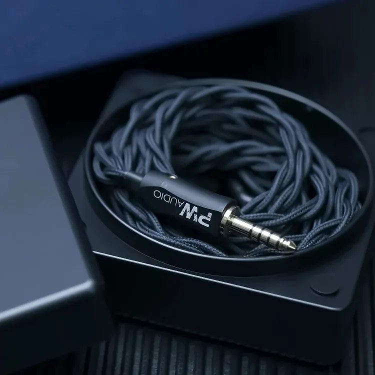 PWAudio First Times (Like New)