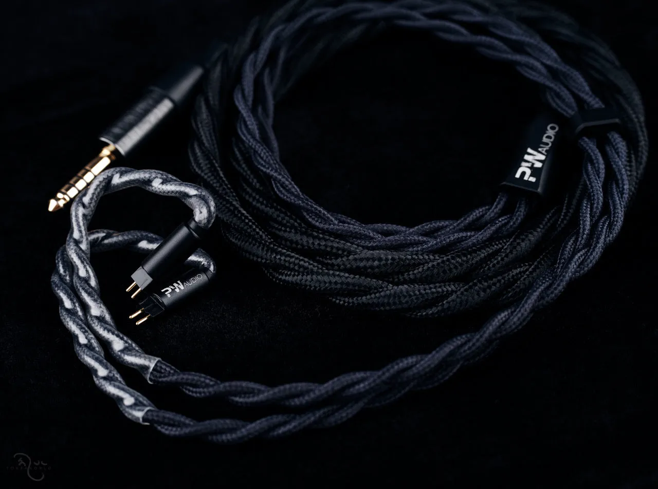 PWAudio First Times with Shielding (Like New)